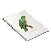 Carnet tropical macaw parrot (Côté Droit)