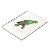 Carnet tropical macaw parrot (Côté gauche)