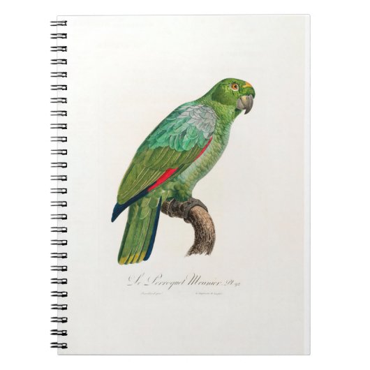 Carnet tropical macaw parrot (Devant)