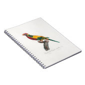 Carnet tropical macaw parrot (Côté Droit)