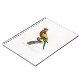 Carnet tropical macaw parrot (Côté gauche)