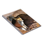 Carnet Trou de Cubby (Côté Droit)