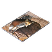 Carnet Trou de Cubby (Côté gauche)