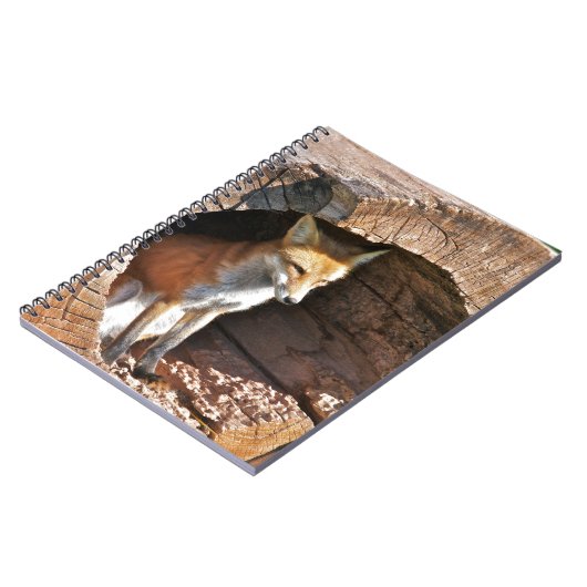 Carnet Trou de Cubby (Côté gauche)