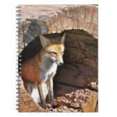 Carnet Trou de Cubby (Devant)