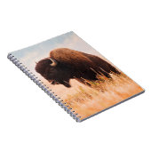 Carnet Troupeau de bisons d'Amérique (Bison Bison) dans T (Côté Droit)