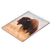 Carnet Troupeau de bisons d'Amérique (Bison Bison) dans T (Côté gauche)