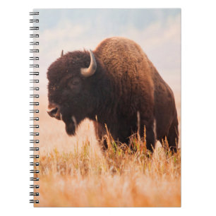 Carnet Troupeau de bisons d'Amérique (Bison Bison) dans T
