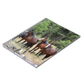 Carnet Troupeau de chevaux sauvages (Côté gauche)