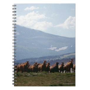 Carnet Troupeau mobile de cowboy de chevaux