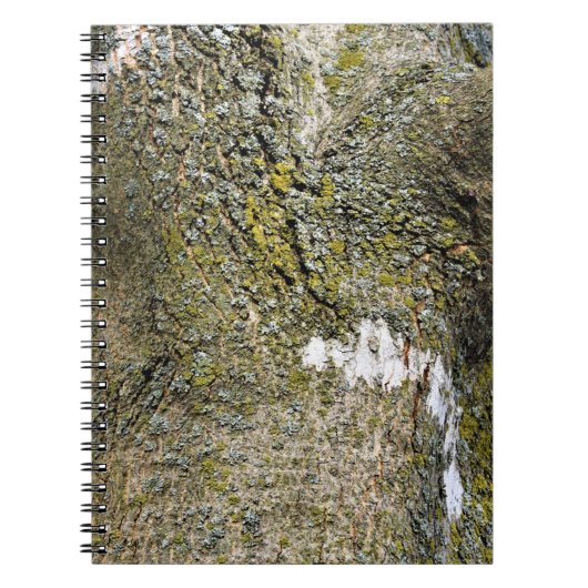 Carnet Truck d'arbre et texture de mousse (Devant)