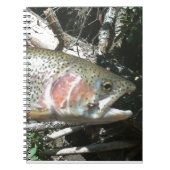 Carnet Truite arc-en-ciel (Devant)