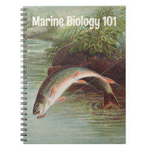 Carnet Truitelle de ruisseau sautant par S.A. Kilbourne P