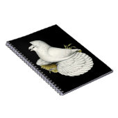 Carnet Trumpeter Pigeon White (Côté Droit)