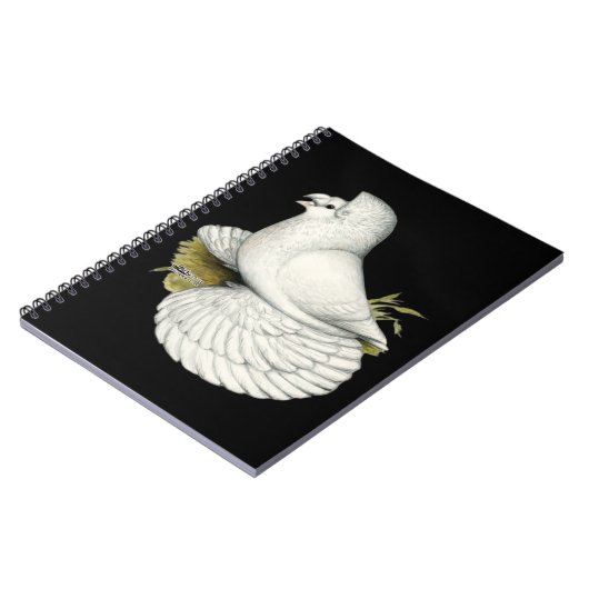 Carnet Trumpeter Pigeon White (Côté gauche)