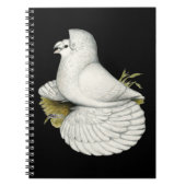 Carnet Trumpeter Pigeon White (Devant)