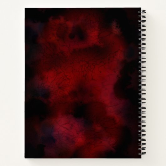 Carnet TSDS : Chaos Magic (Dos)