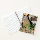 Carnet Tucson-Mt Lemmon (Intérieur)