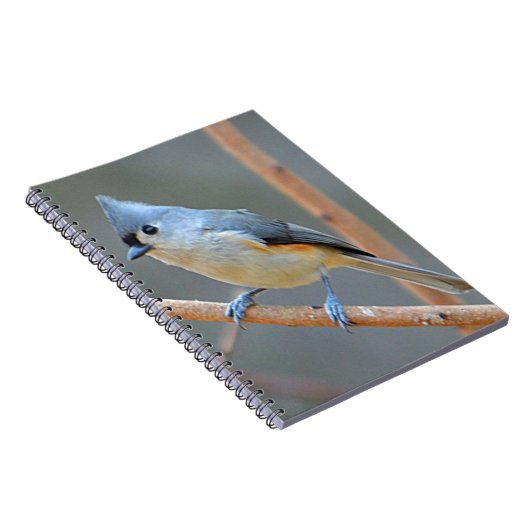 Carnet Tufé de souris (Côté Droit)