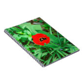 Carnet Tuliforme rouge (Côté Droit)