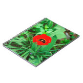 Carnet Tuliforme rouge (Côté gauche)