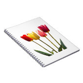CARNET TULIP (Côté Droit)