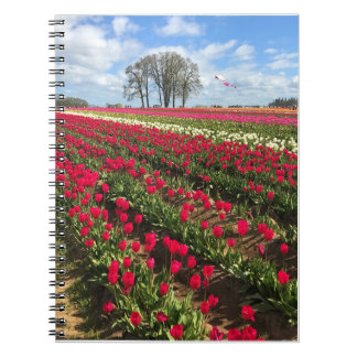 Carnet Tulip Field with Kite