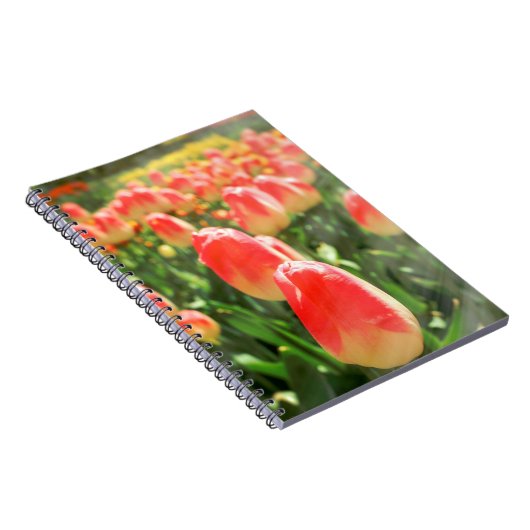 Carnet Tulip Heaven (Côté Droit)