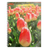 Carnet Tulip Heaven (Devant)