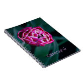 Carnet Tulip rose moisi (Côté Droit)