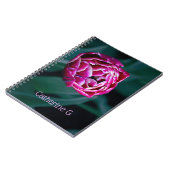 Carnet Tulip rose moisi (Côté gauche)