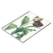 Carnet Tulipe de jardin, de "opéra Botanica", gravé par L (Côté gauche)