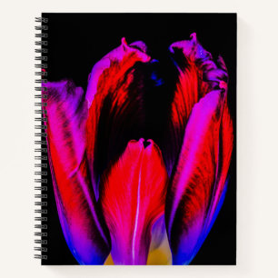 Carnet Tulipe de Neon Glow