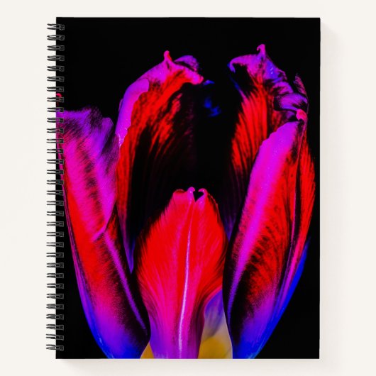 Carnet Tulipe de Neon Glow (Devant)