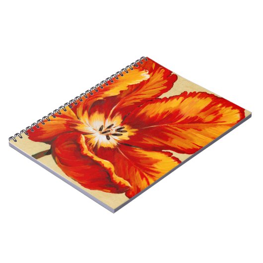 Carnet Tulipe de perroquet I (Côté gauche)