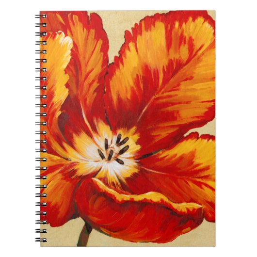 Carnet Tulipe de perroquet I (Devant)