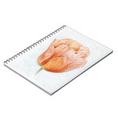 Carnet Tulipe en Pêche (Côté gauche)