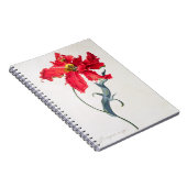 Carnet Tulipe : Fard à joues de Perroquet (Côté Droit)