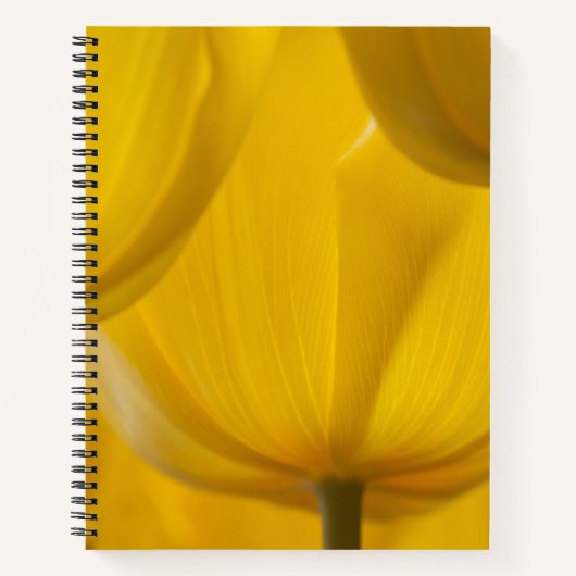 Carnet Tulipe jaune (Devant)