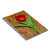 Carnet Tulipe jaune et rouge (Côté Droit)