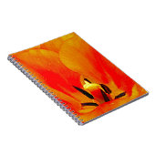 Carnet Tulipe orange (Côté Droit)