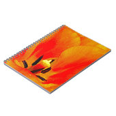 Carnet Tulipe orange (Côté gauche)