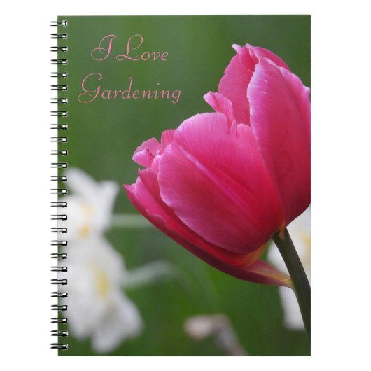 Carnet Tulipe rose (Devant)