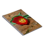 Carnet Tulipe rouge du printemps (Côté Droit)