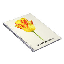 Tulipe rouge et jaune personnalisée