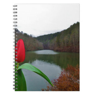 Carnet Tulipe rouge printanière au lac Arrowhead