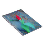 Carnet Tulipe rouge sur ardoise gris bleu (Côté Droit)