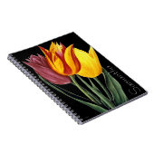 Carnet Tulipe (Tulipa Gesneriana) (Côté Droit)