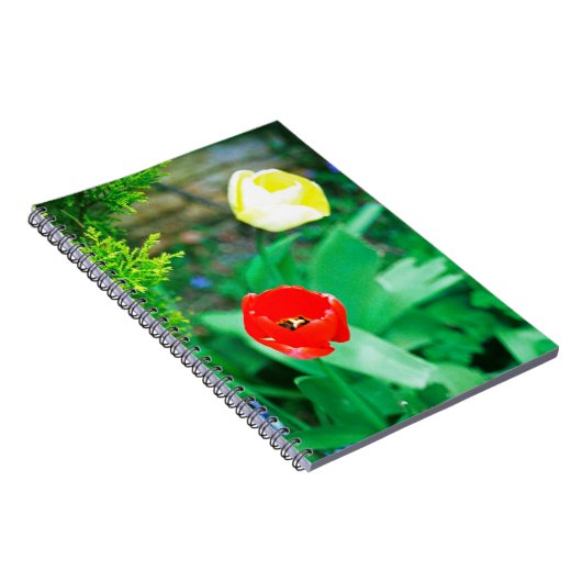 Carnet Tulipes (Côté Droit)