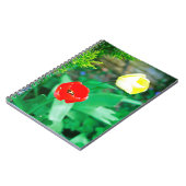 Carnet Tulipes (Côté gauche)